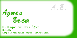 agnes brem business card
